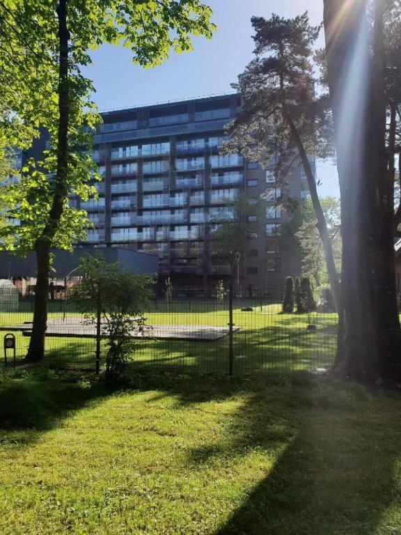 Palanga Apartments Near Baltic Sea - Studio Dış mekan fotoğraf